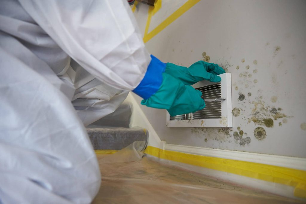 Professional Mold Remediation Frankfort IL