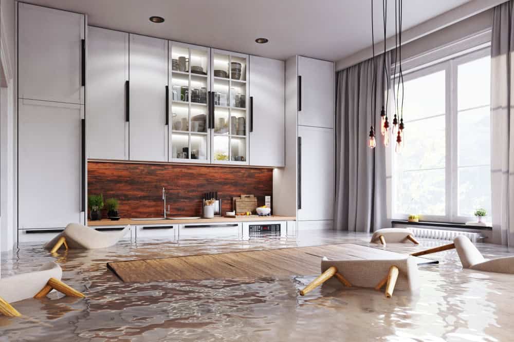 Water Damage Contractor