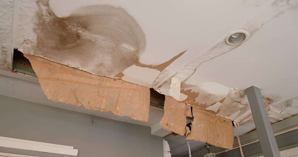 Mold Inspection & Removal Oak Brook IL